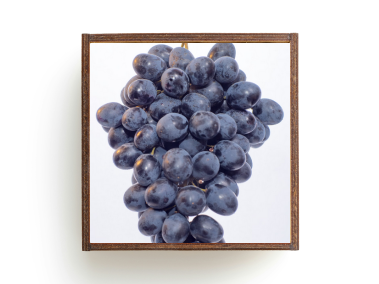 A picture of Grape