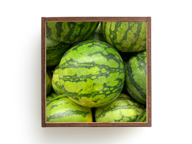 A picture of Watermelon